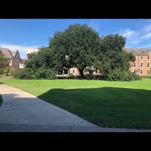 Meet your Posher, Carly